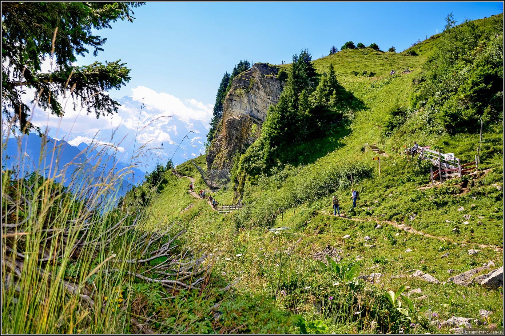 Schynige Platte (Wilderswil)